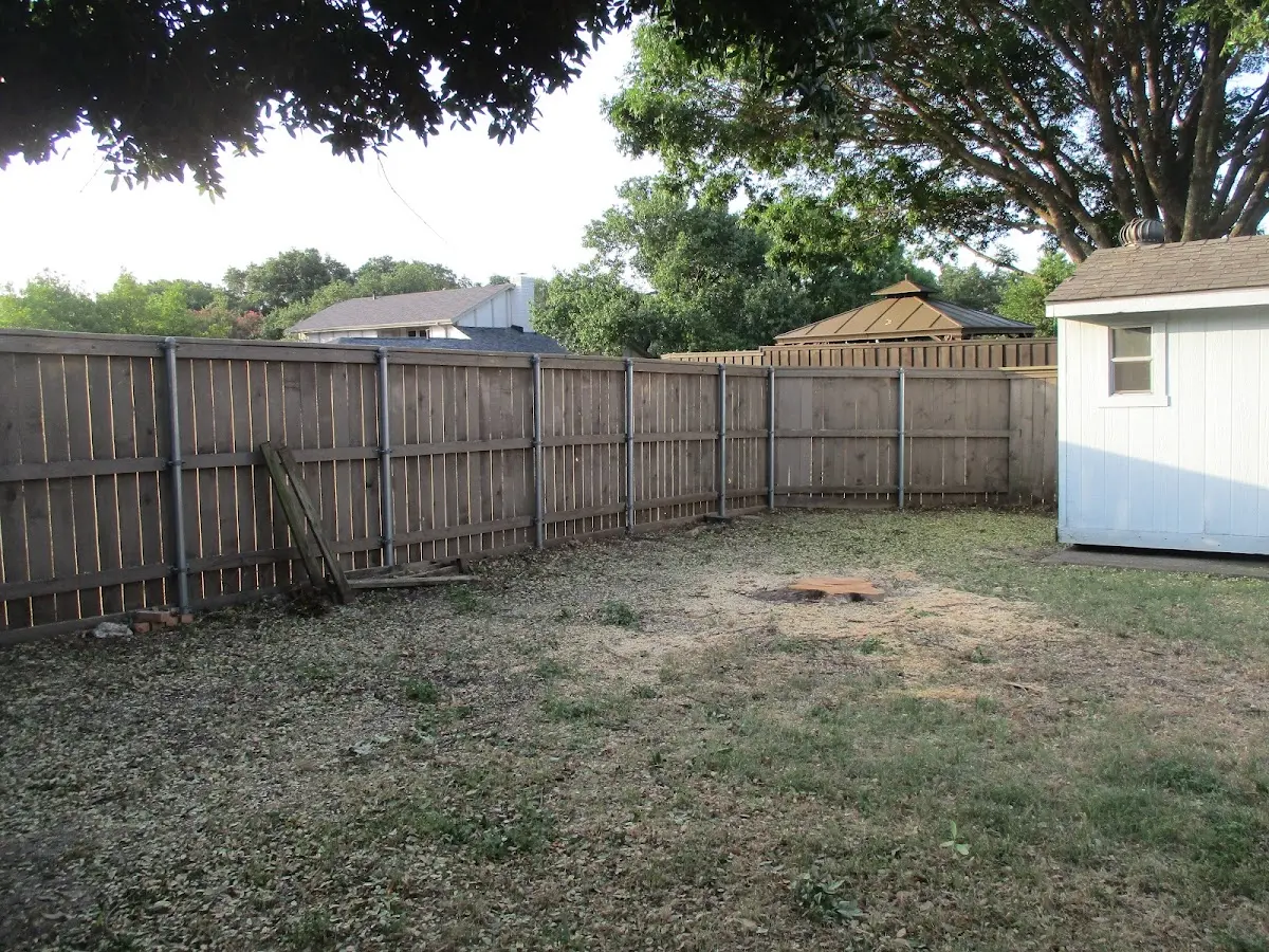 Cleared yard after professional tree removal in Toivola